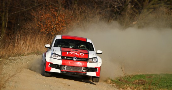 Testy Polo Proto